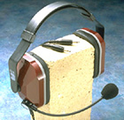 MIC 036